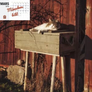 Mars 2019